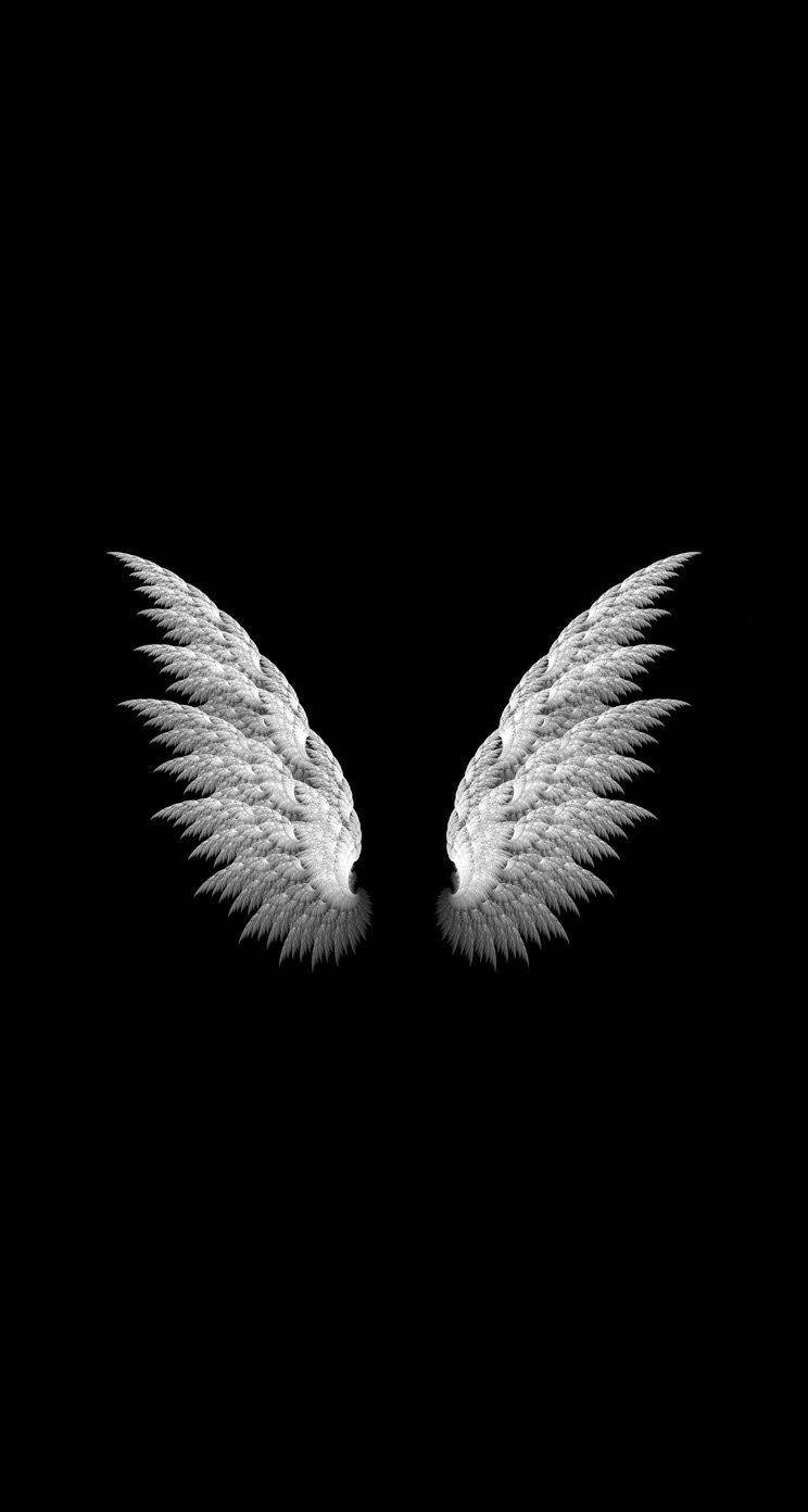 Top 999+ Black Angel Wings Wallpaper Full HD, 4K✅Free to Use