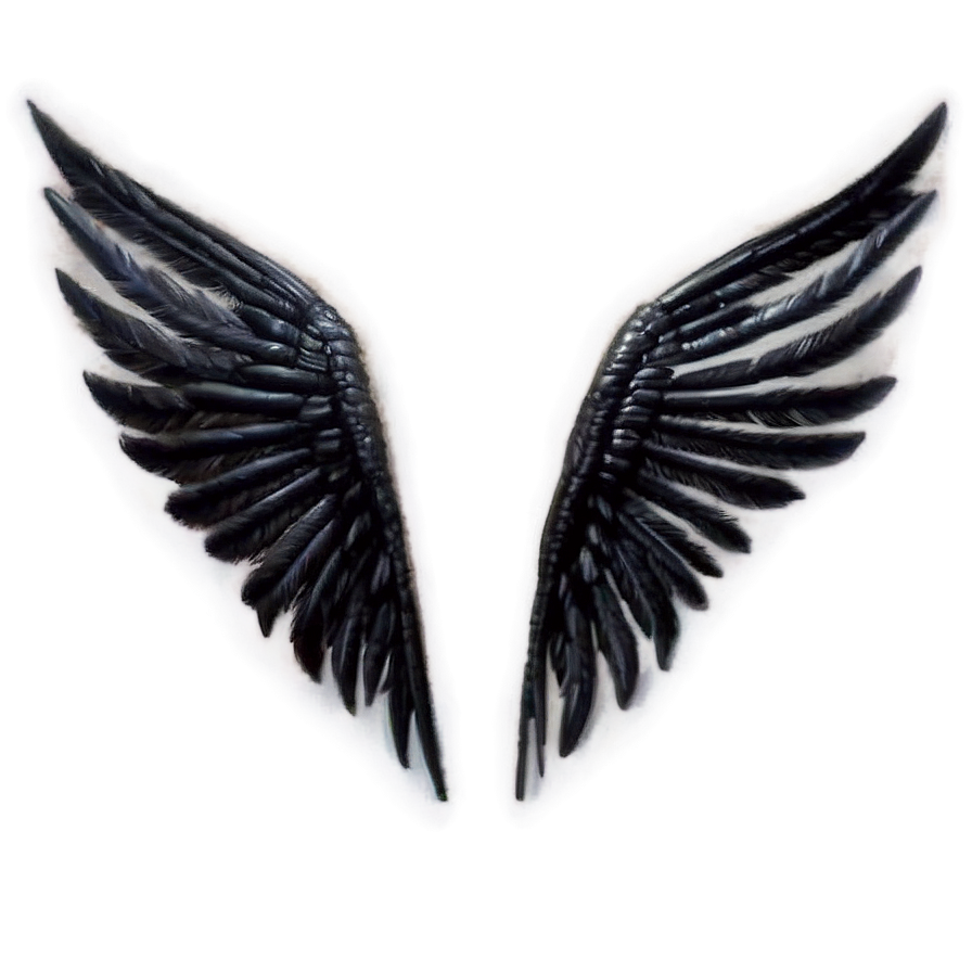Black Wings Of The Sacred Png Ixg PNG