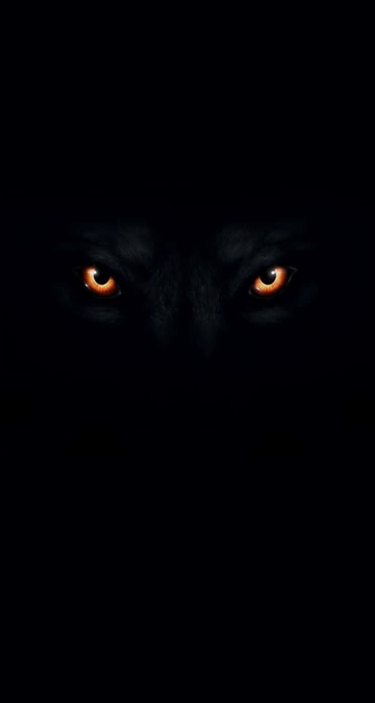 'A black wolf staring into the night, awaiting its next hunt.'