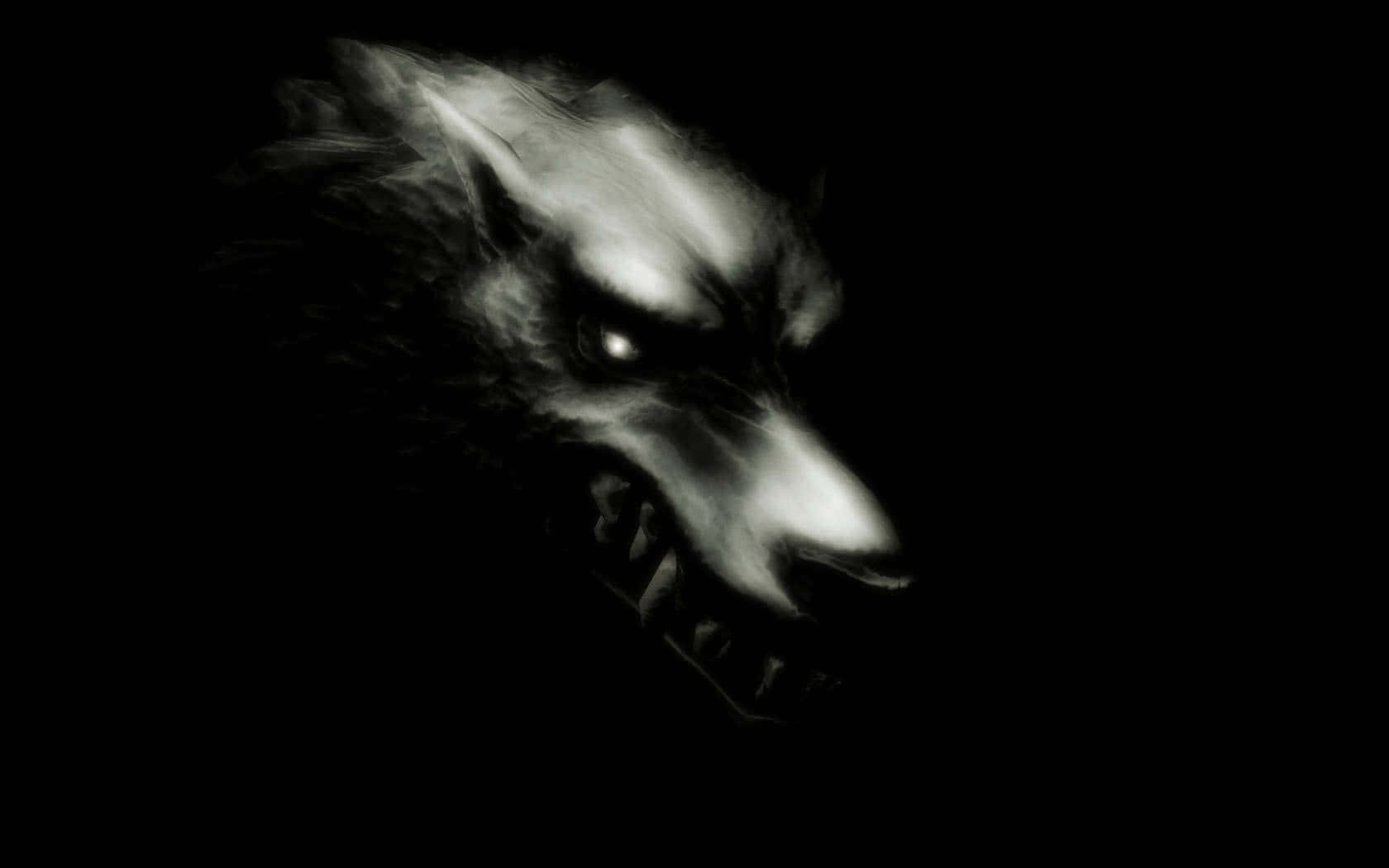 Einmysteriöser Schwarzer Wolf In Der Nacht
