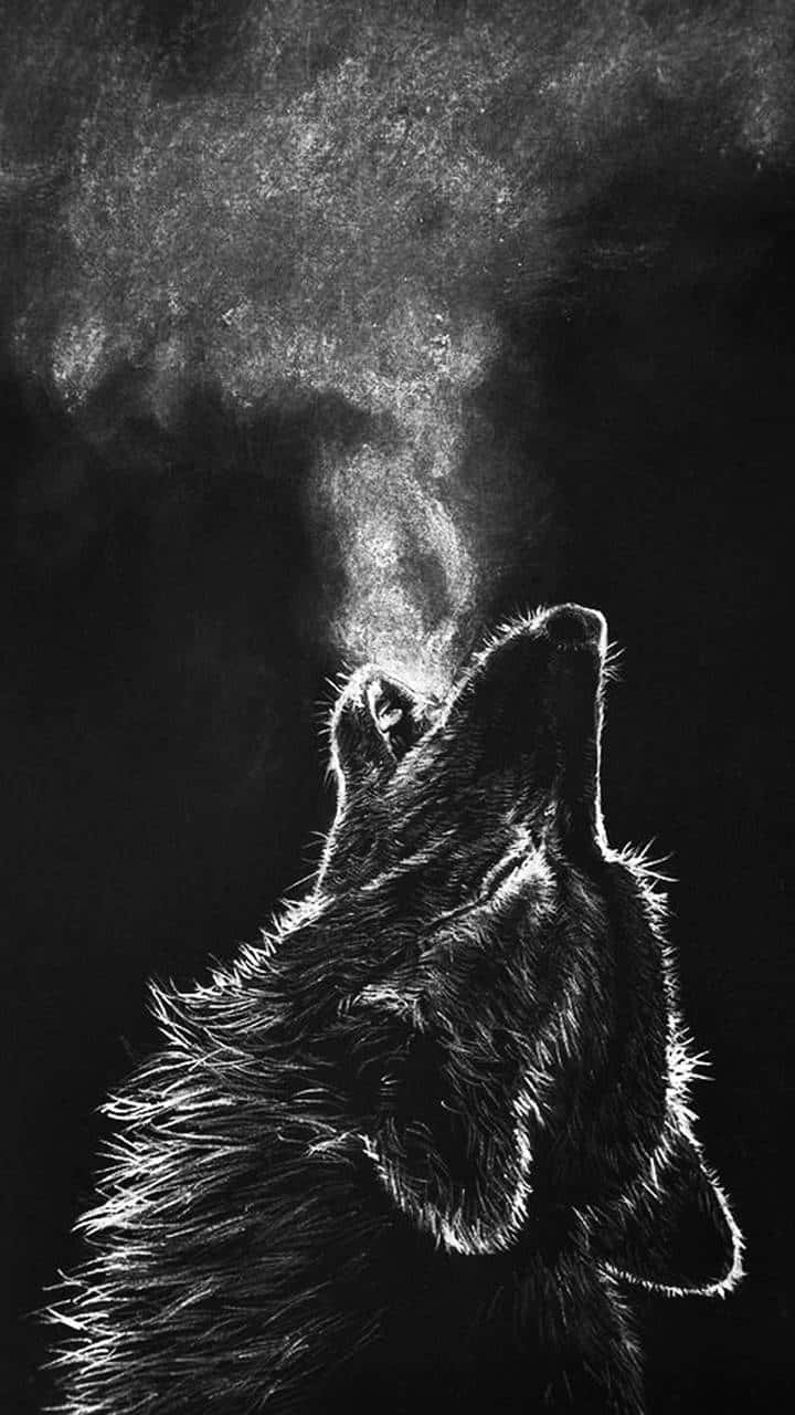A mysterious black wolf staring into the night sky