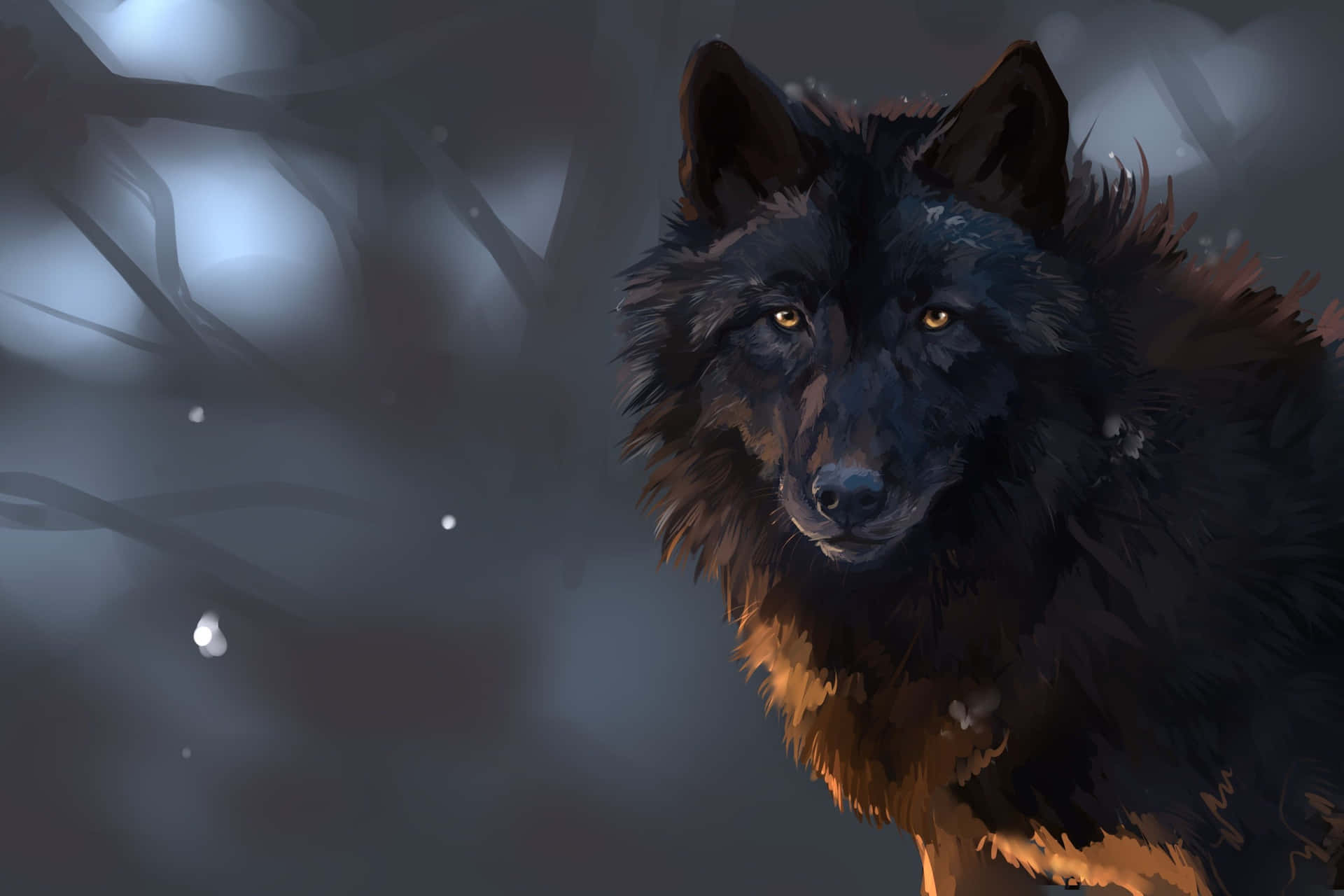 Einschwarzer Wolf Starrt Hypnotisch Auf Den Nachthimmel.