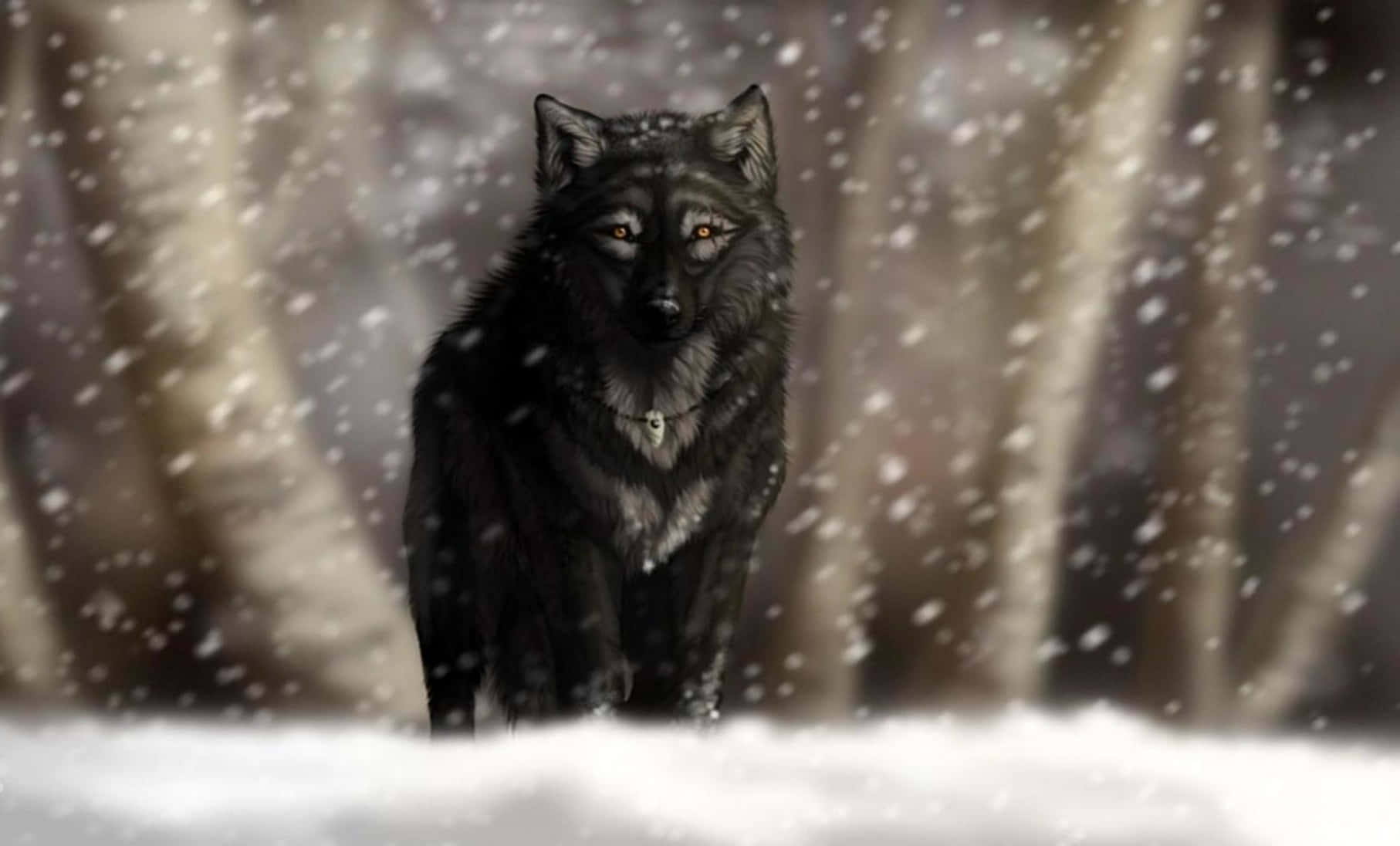"The Black Wolf - Strength and Power"