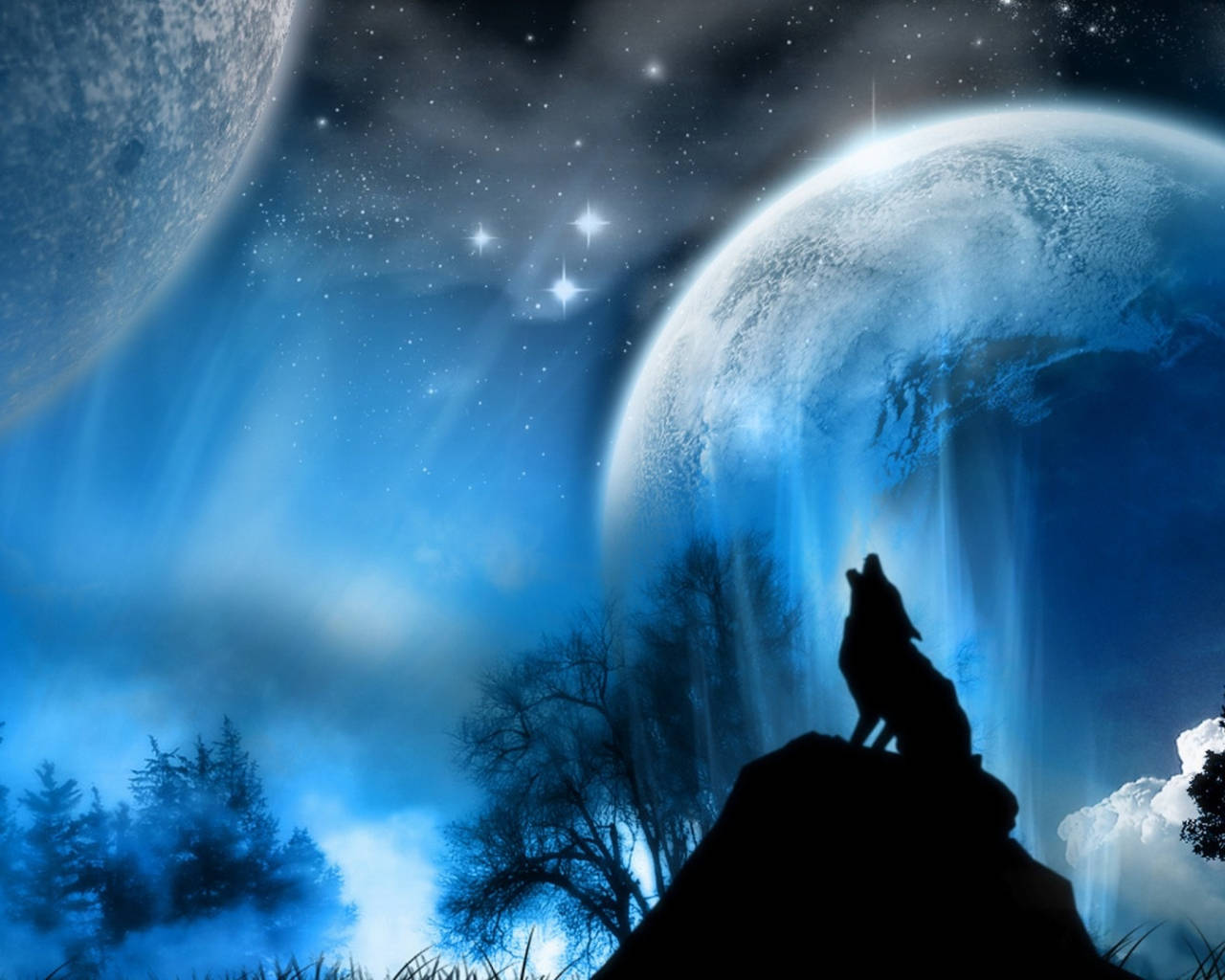 Black Wolf Under Blue Sky Wallpaper