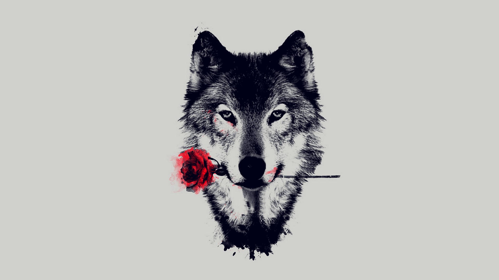 Black Wolf With Rose Wallpaper