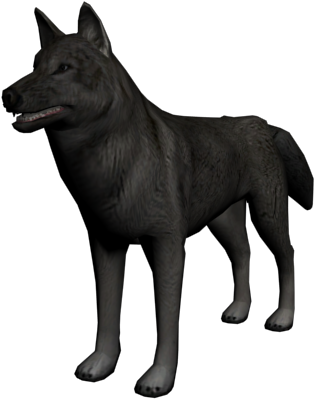 Black Wolf3 D Model Standing PNG