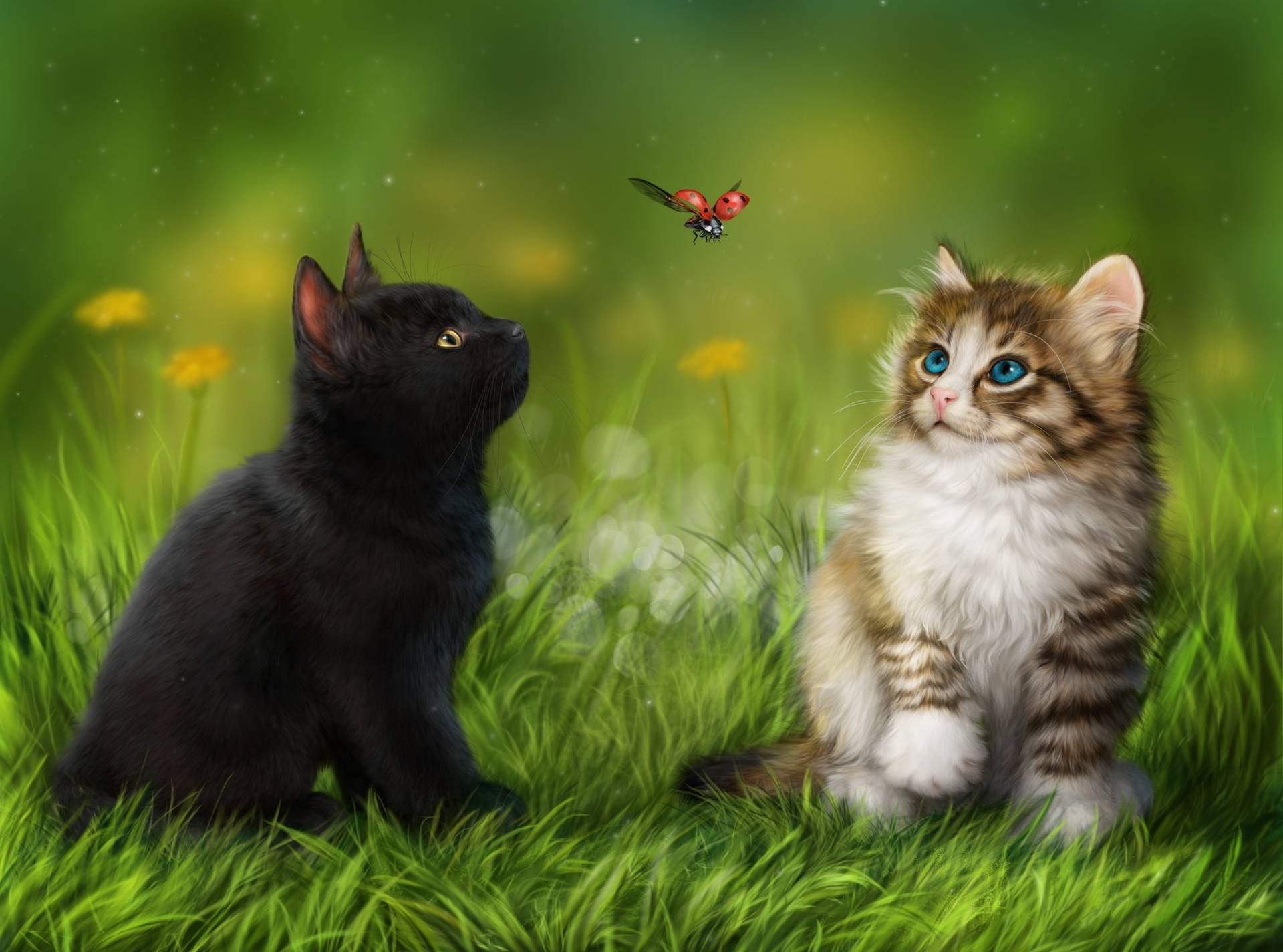 Blackand Tabby Kittensin Grass Wallpaper