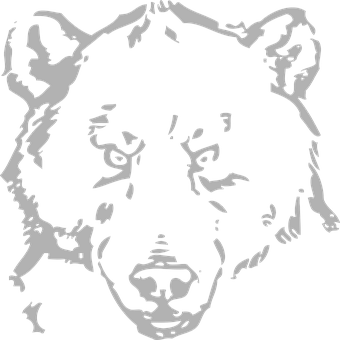Blackand White Bear Graphic PNG