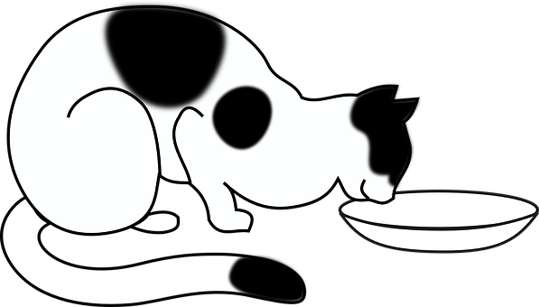 Blackand White Cat Drinking Milk PNG
