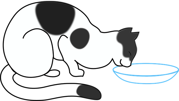 Blackand White Cat Drinking Water PNG