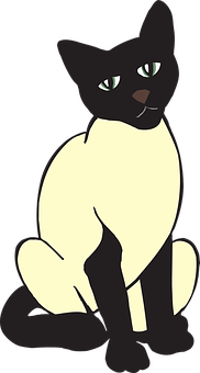 Blackand White Cat Illustration PNG