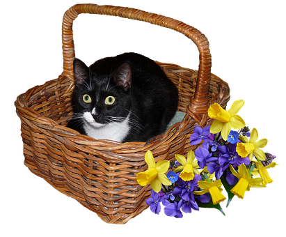 Blackand White Catin Basketwith Flowers.jpg PNG