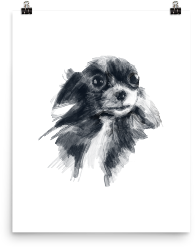 Blackand White Chihuahua Sketch PNG