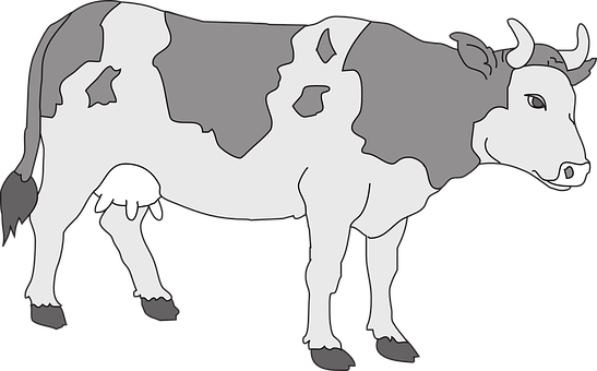 Blackand White Cow Illustration PNG