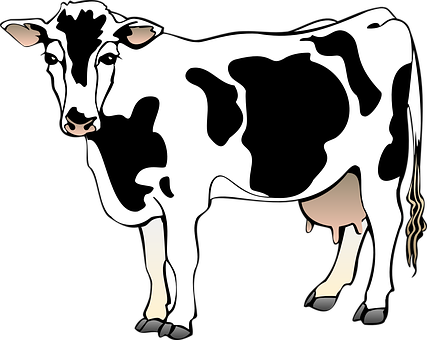 Blackand White Cow Illustration PNG