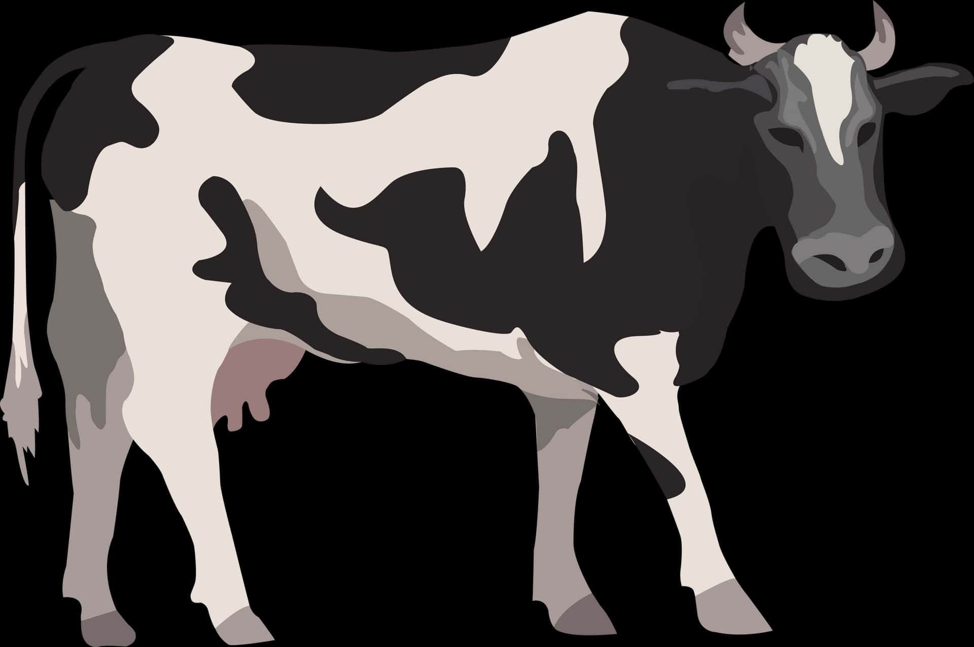 Blackand White Cow Illustration PNG