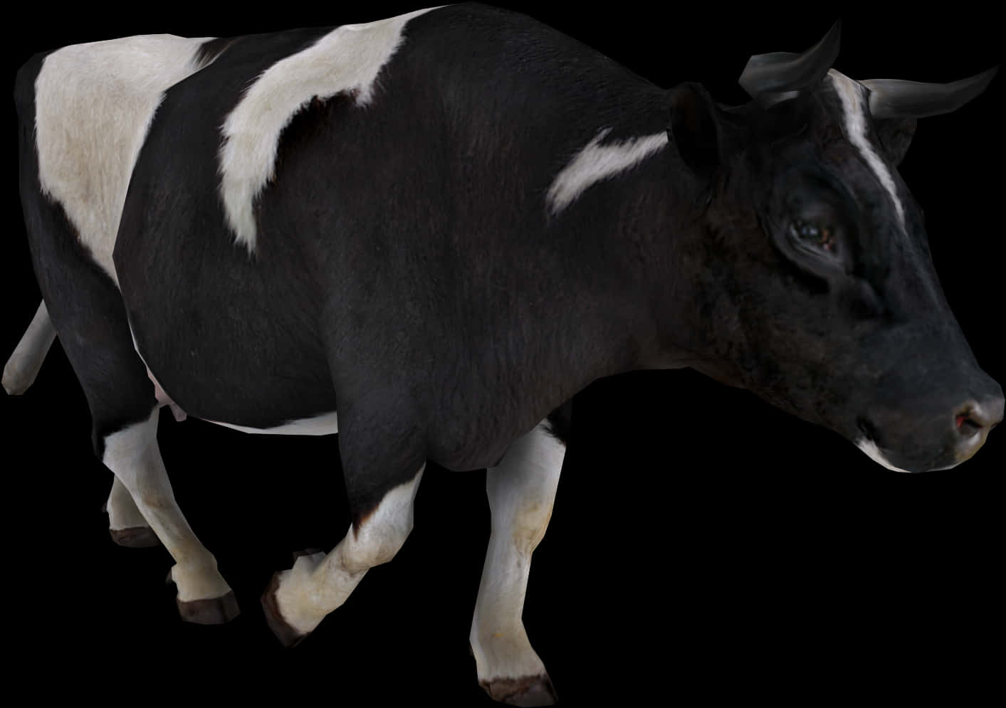Blackand White Cow Isolatedon Black PNG