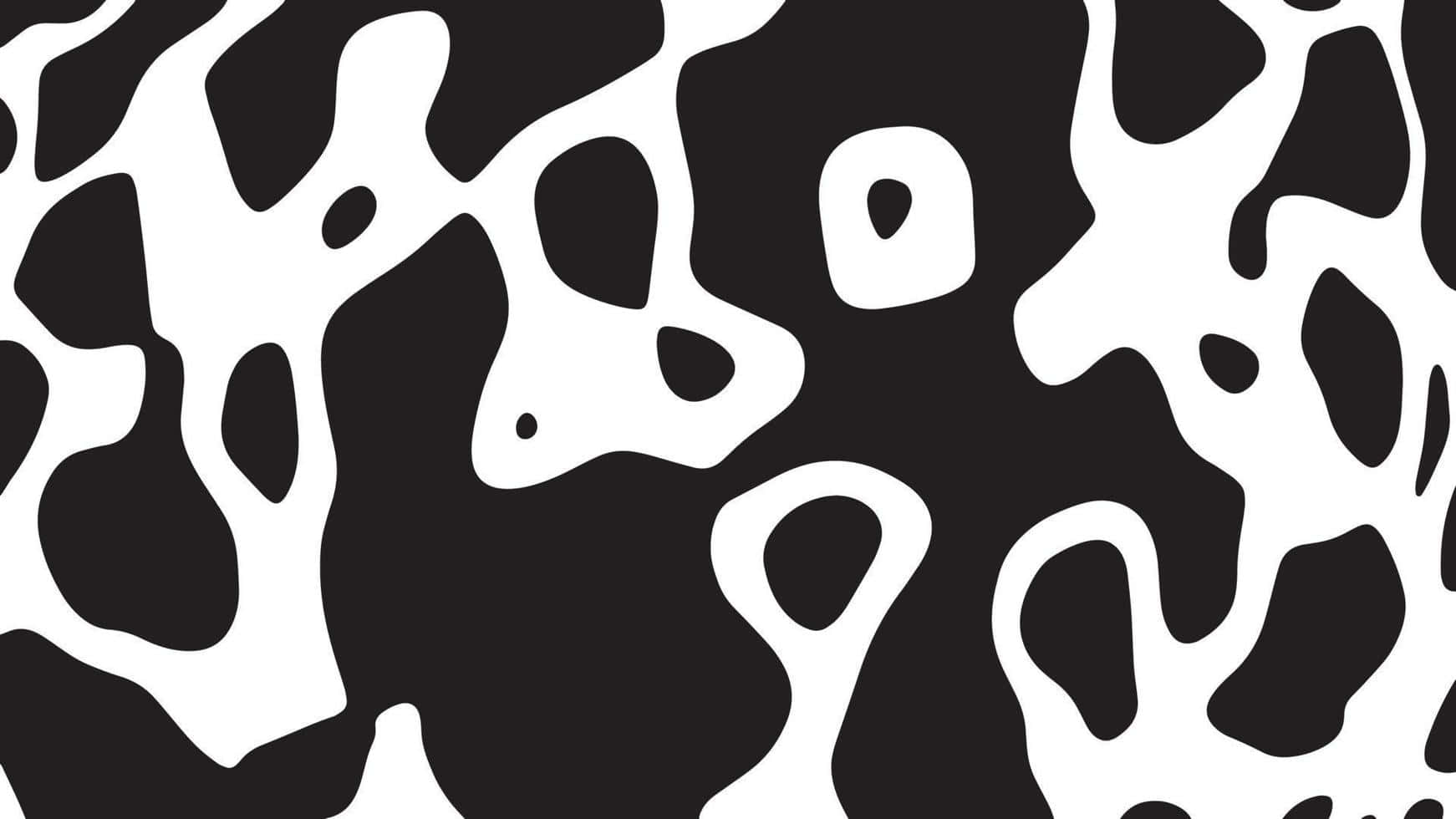 Blackand White Cow Print Pattern Wallpaper