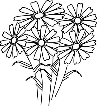 Blackand White Daisy Vector PNG
