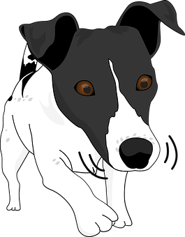 Blackand White Dog Illustration PNG