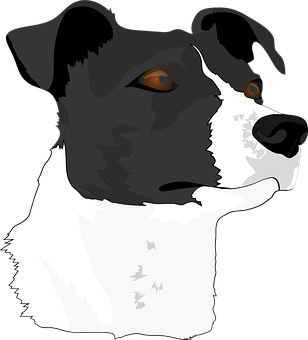 Blackand White Dog Portrait PNG