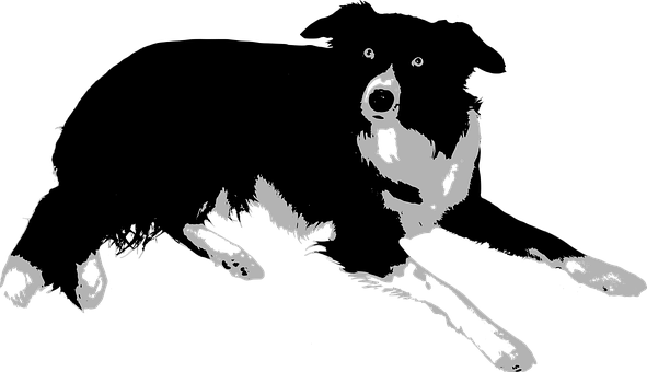 Blackand White Dog Silhouette PNG