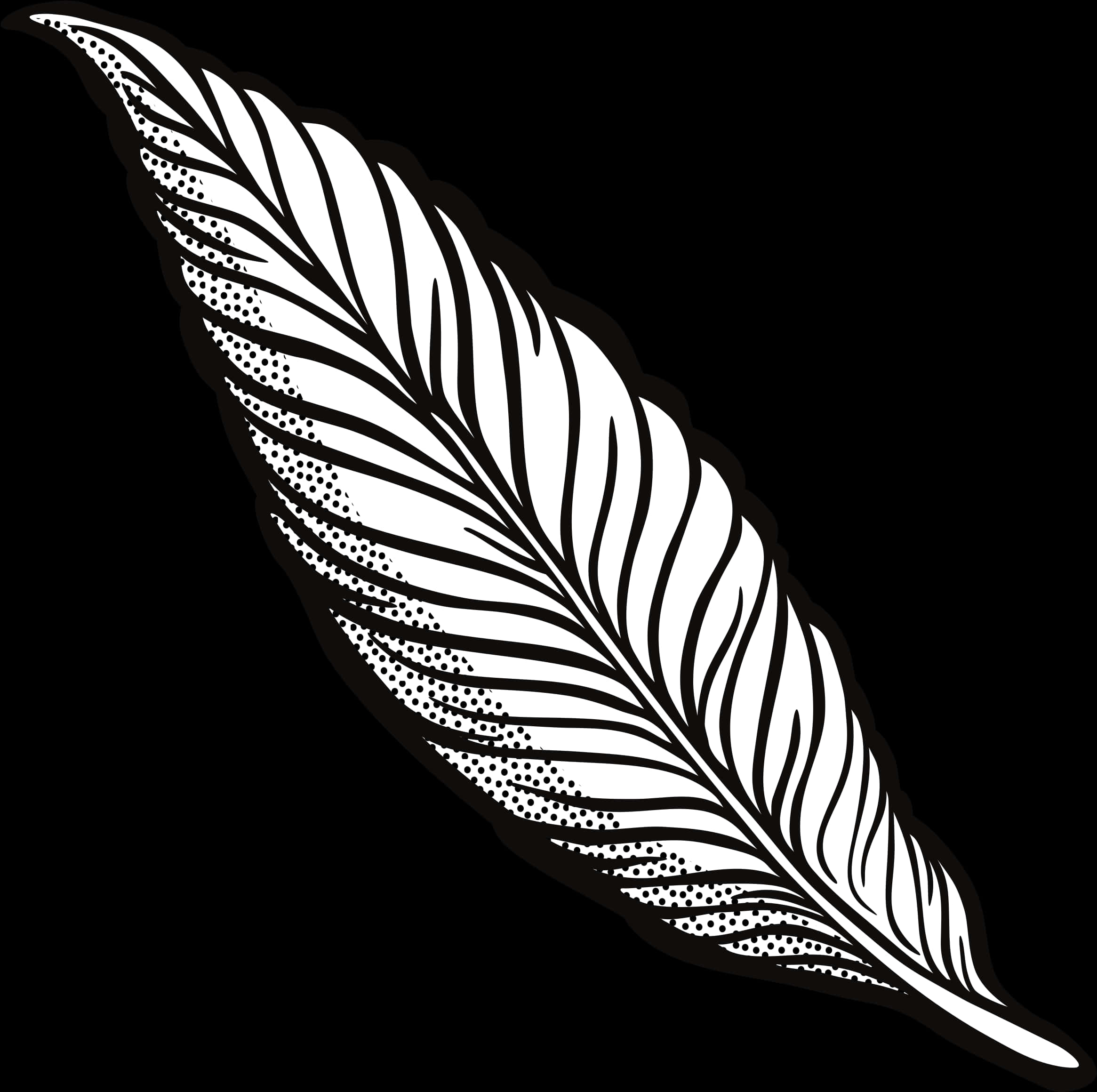 Blackand White Feather Illustration PNG