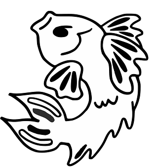 Blackand White Fish Drawing PNG