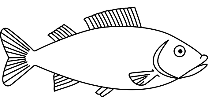 Blackand White Fish Illustration PNG