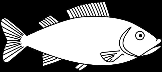 Blackand White Fish Illustration PNG