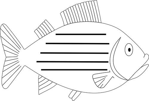 Blackand White Fish Illustration PNG