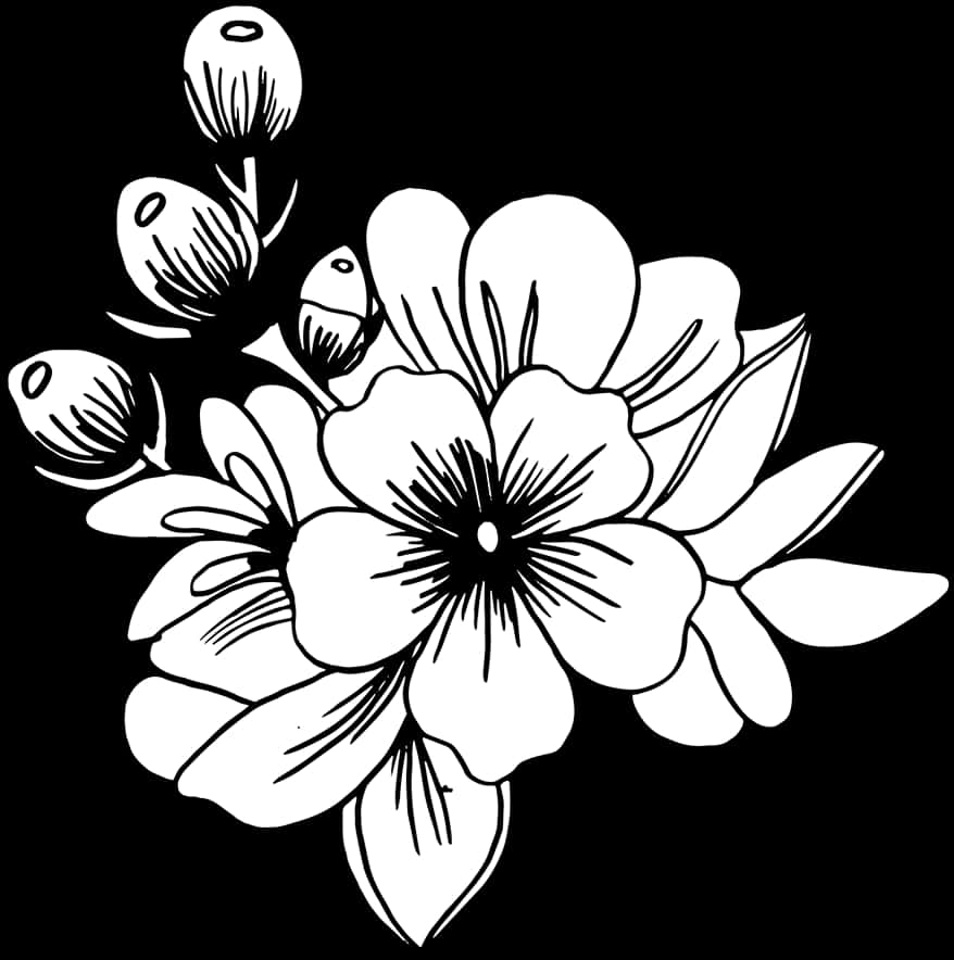 Blackand White Floral Illustration PNG
