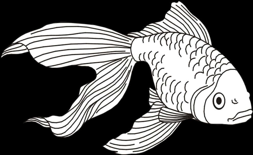 Blackand White Goldfish Illustration PNG