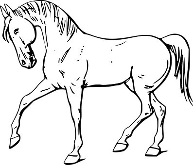 Blackand White Horse Illustration PNG