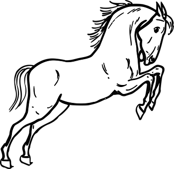 Blackand White Horse Silhouette PNG