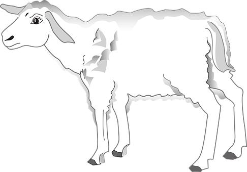 Blackand White Lamb Illustration PNG