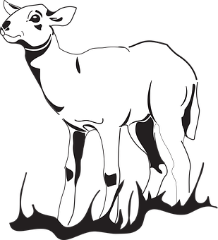 Blackand White Lamb Illustration PNG