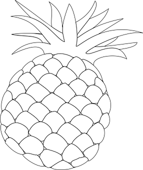 Blackand White Pineapple Drawing.jpg PNG