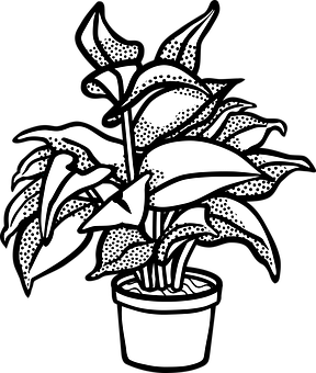 Blackand White Potted Plant Illustration PNG