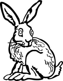 Blackand White Rabbit Illustration PNG