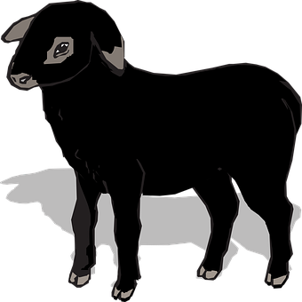 Blackand White Sheep Illustration PNG