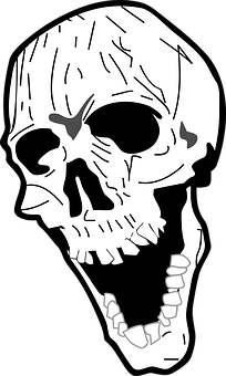 Blackand White Skull Illustration PNG