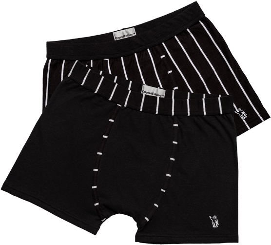 Blackand White Striped Boxer Briefs PNG