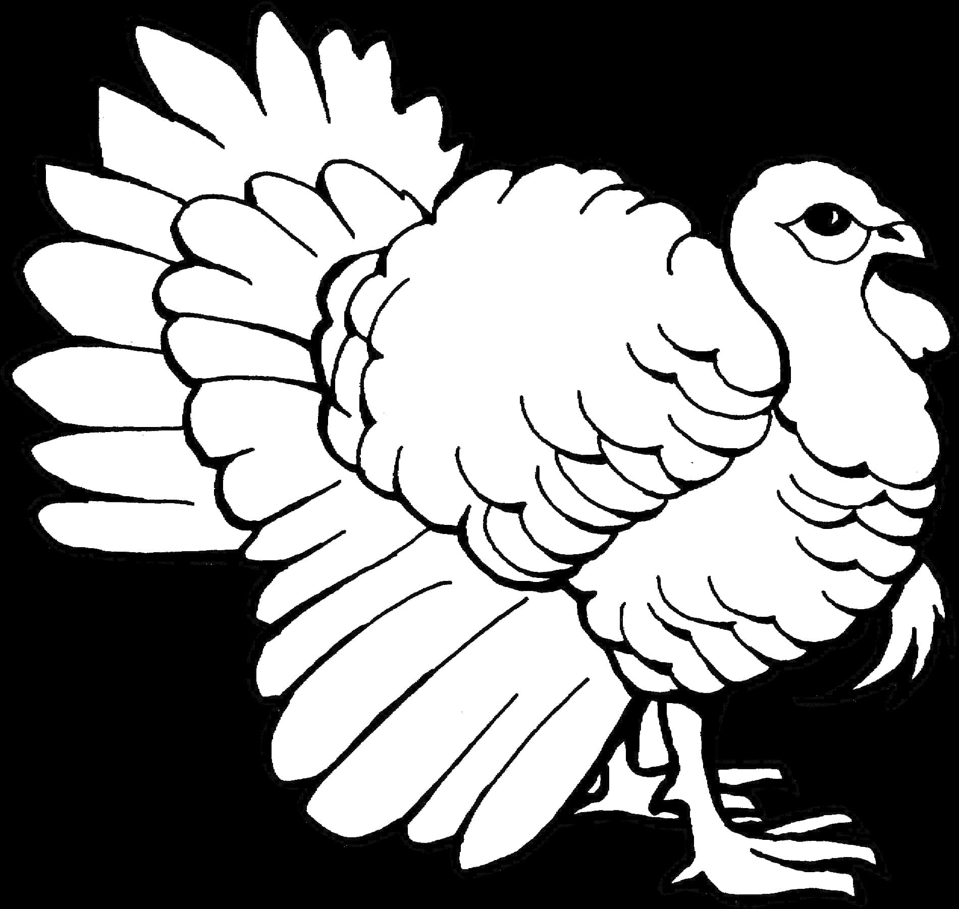 Blackand White Turkey Illustration PNG