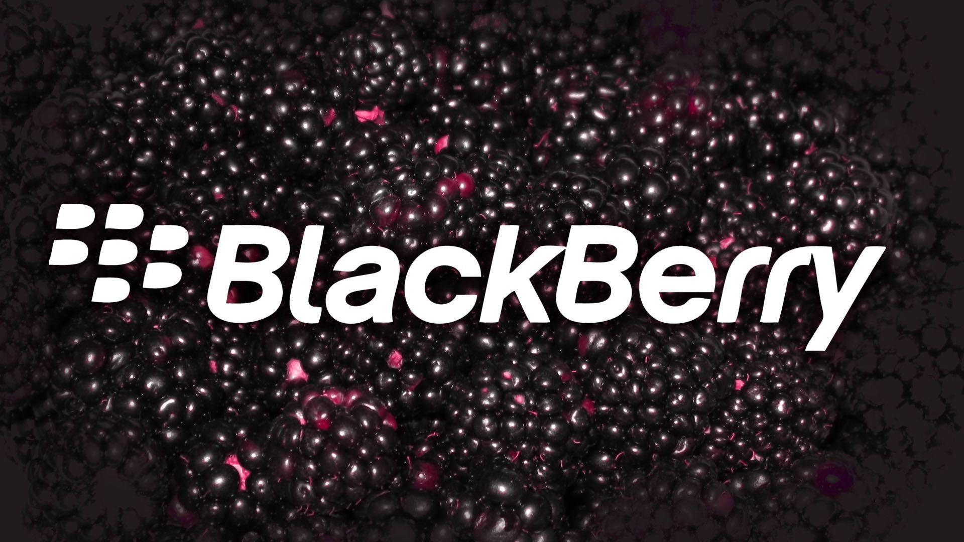 Schwarzebeeren Von Blackberry In Dunkelrosa Wallpaper