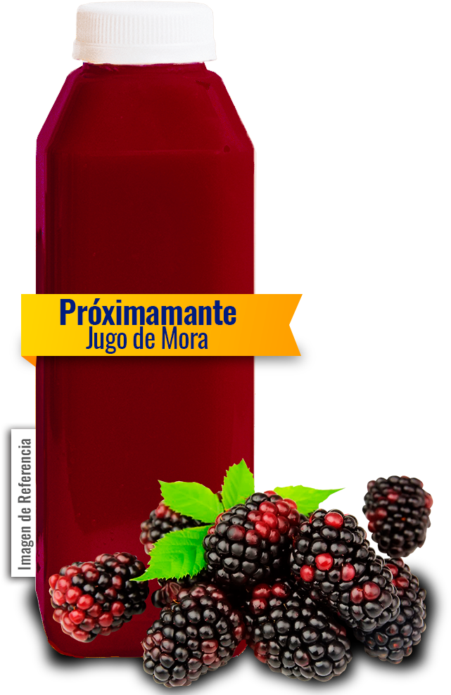 Blackberry Juice Product Preview PNG
