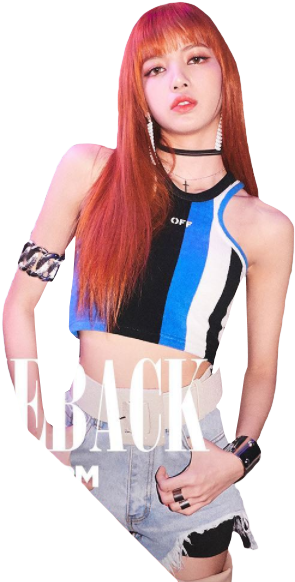 Blackpink Member Fashion Pose PNG