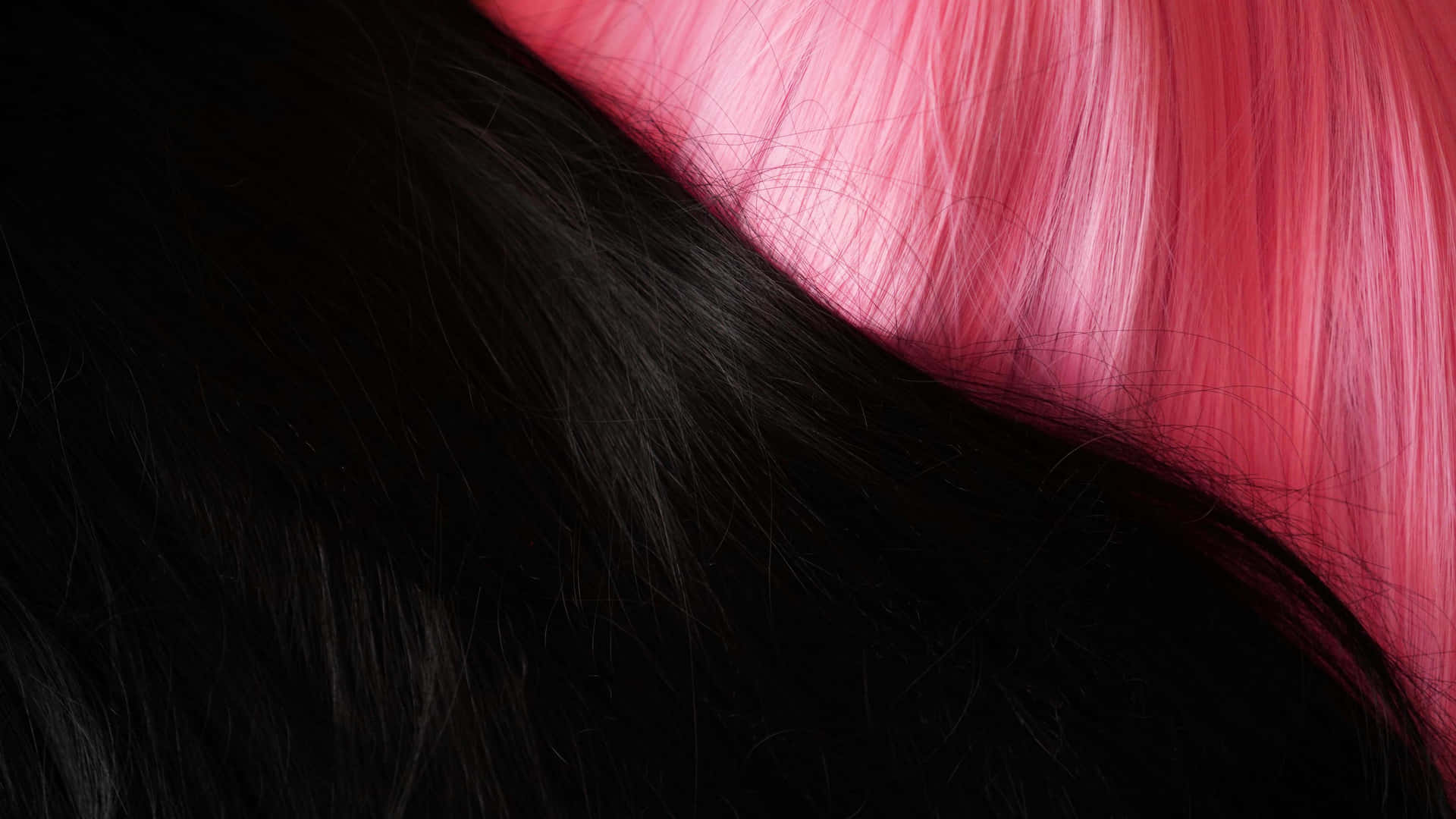 Blackto Pink Hair Transition Wallpaper