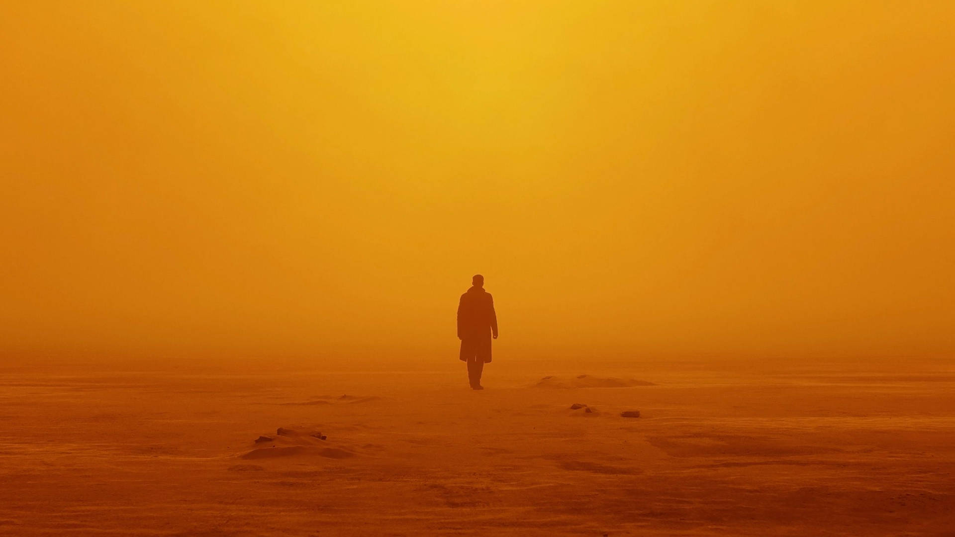 Blade Runner 2049 K In Desert Background