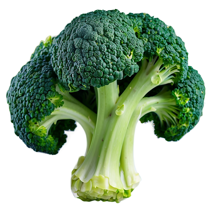 Blanched Broccoli Png Obu PNG